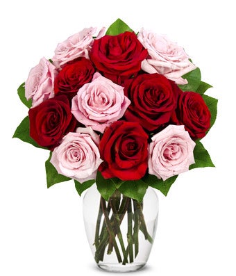 IMPORTED - One Dozen Red and Pink Roses - H.Bloom